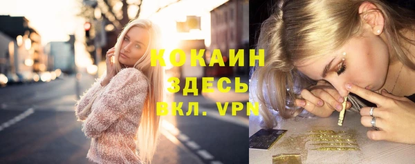 ПСИЛОЦИБИНОВЫЕ ГРИБЫ Белокуриха