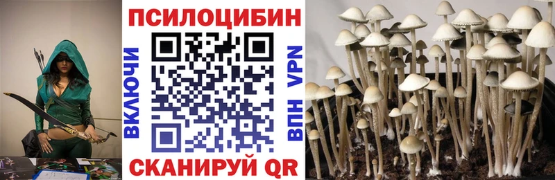 Галлюциногенные грибы мицелий Славгород